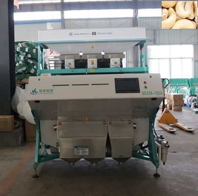 Machine de tri de noix de grain de nourriture d'OEM pour le tri de noisette de châtaigne