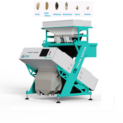 Petite machine de trieuse de couleur de riz de blé d'arachide de maïs de haricots de grain intelligente