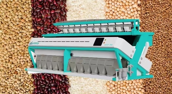 Les haricots intelligents à haute production de riz colorent le t/h de la machine de trieuse 11,0 - 19,0